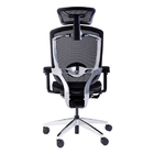 GTCHAIR Marrit X Lumbar Support Ergonomic Chair High Back Mesh Office Chair