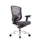 Adjustable Lumbar Support Sliding Seat 3D Armrest Ergo Desk Chair