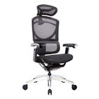 Dynamic Support Swivel Office Chairs BAS System Ergonomic GT Office Chair