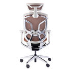 BIFMA Ergonomic Office Chair Lumbar Support Chromed Butterfly Mesh Chair