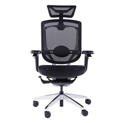 GTCHAIR Marrit X Computer Task Chairs Ergonomic High Back Mesh Executive With Headrest